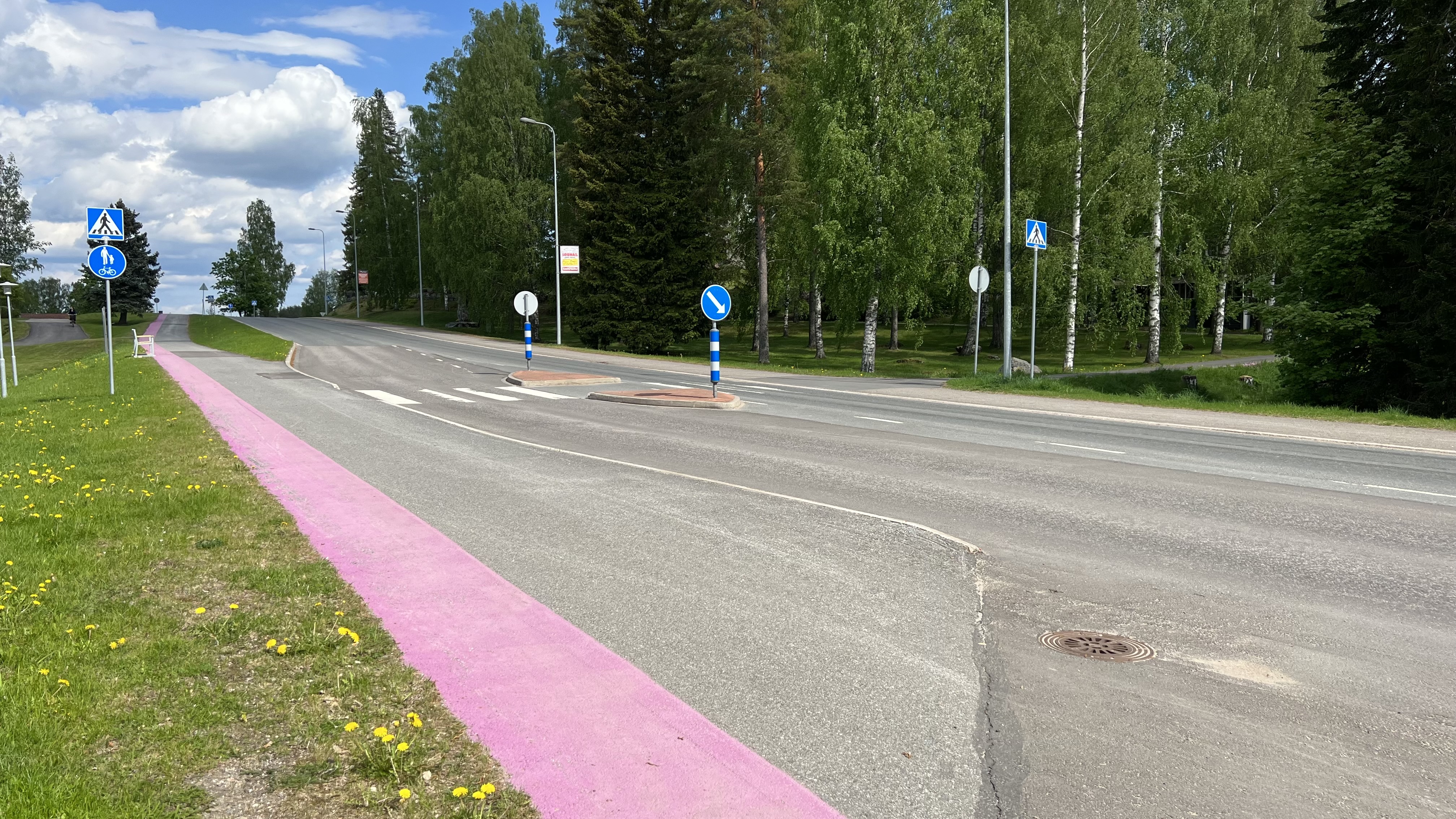 Kuvassa suojatie.